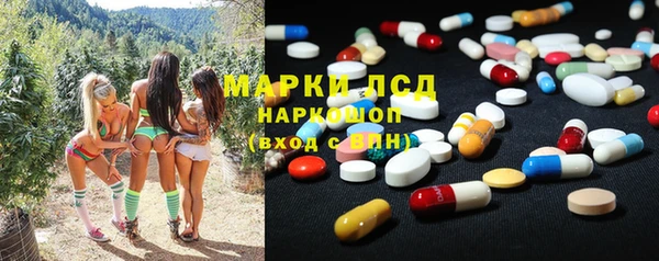 крисы Зеленокумск