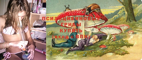 mdma Заводоуковск