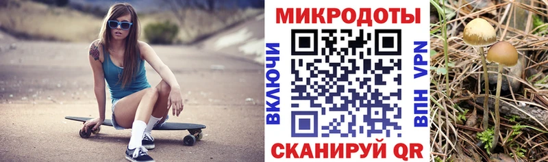 закладки  Волгодонск  Псилоцибиновые грибы прущие грибы 