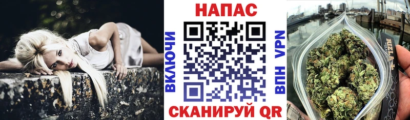 купить   Волгодонск  Марихуана White Widow 